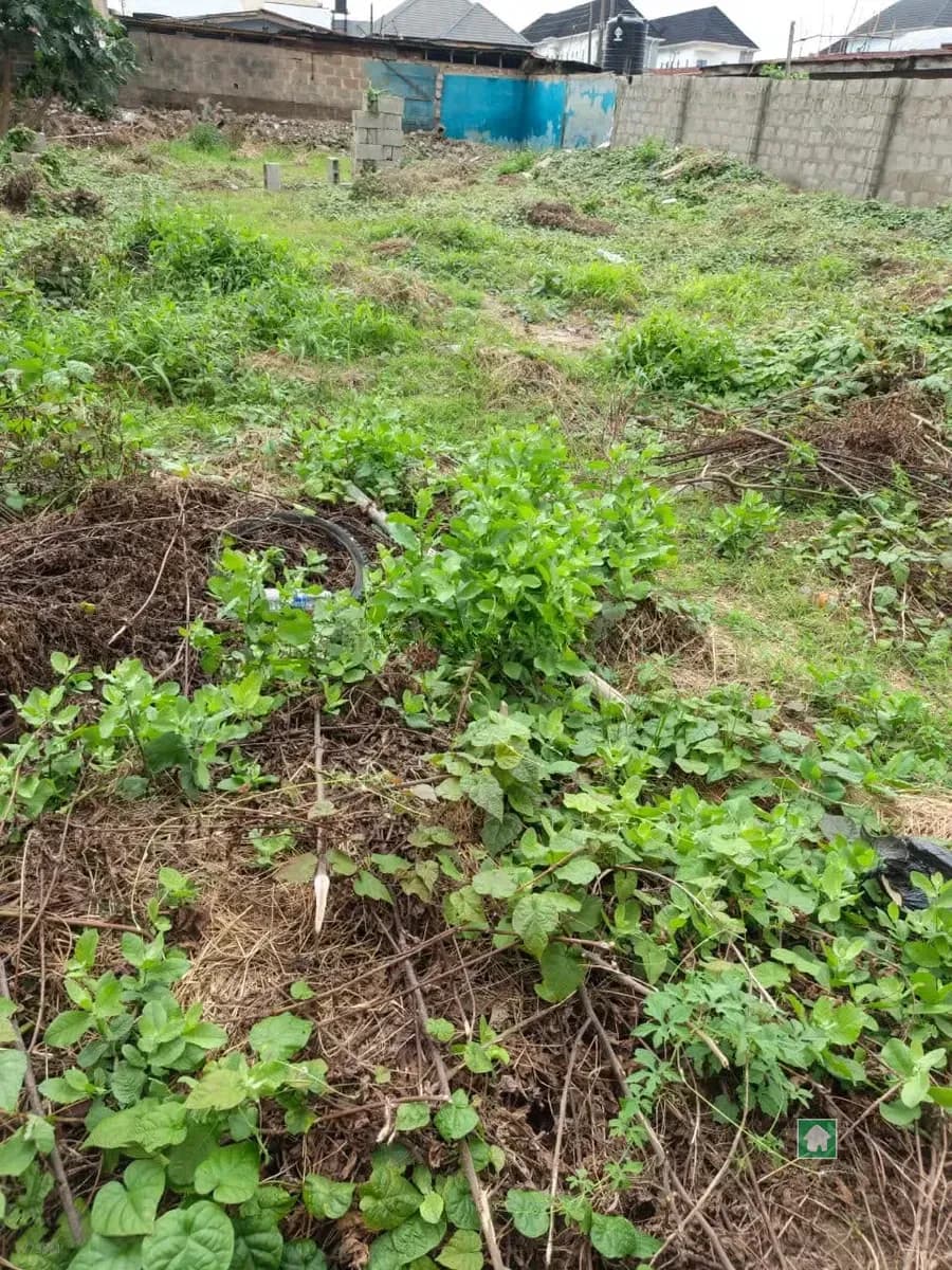 472 Sqm Land for Sale in Omole Phase 2, Ikeja
