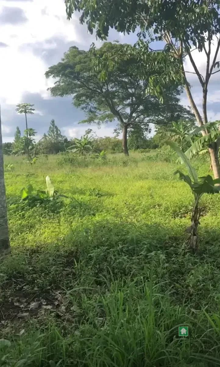 Iberekodo Scheme, Lekki Ibeju, 2 Plots of Land