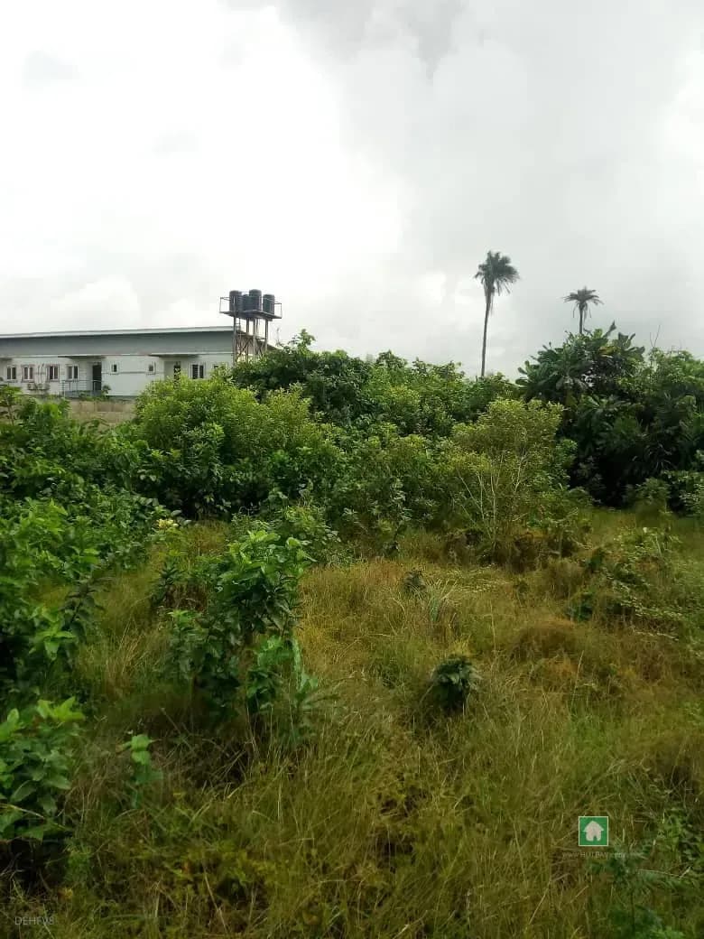Commercial Property for Rent in Ologolo, Lekki