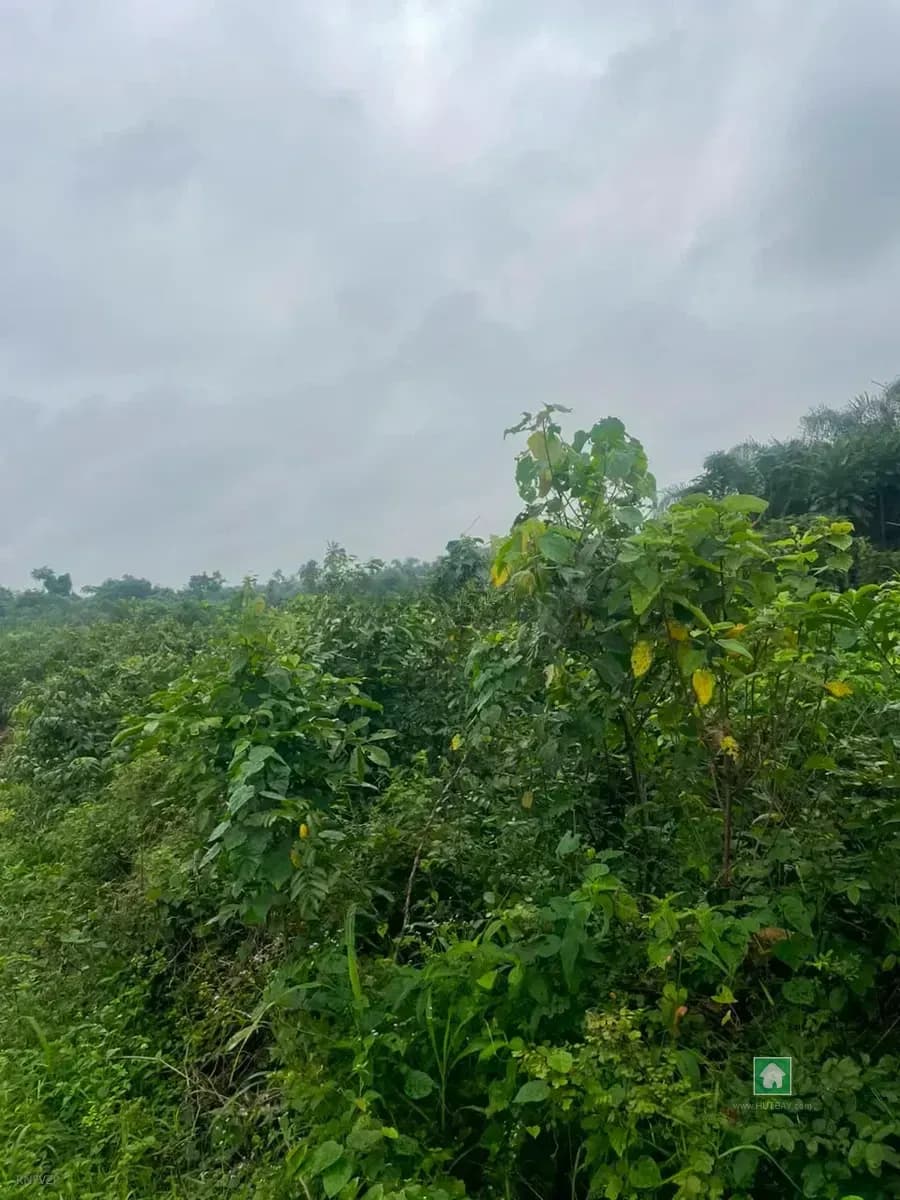 Land for Sale in Ikosi, Ketu, Lagos