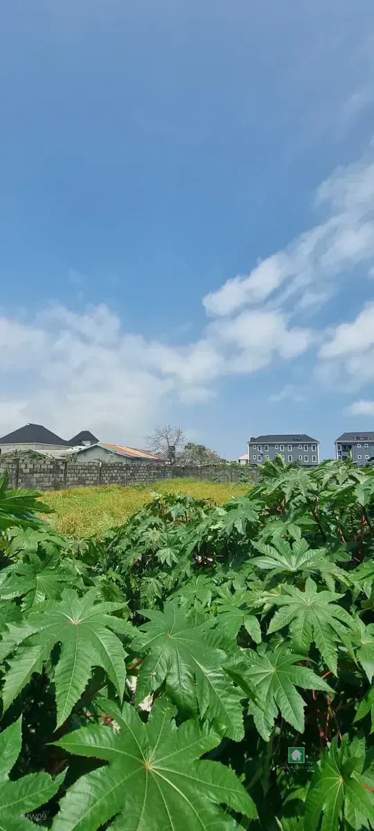 Commercial Land for Rent in Okun Ajah, Ajah, Lagos