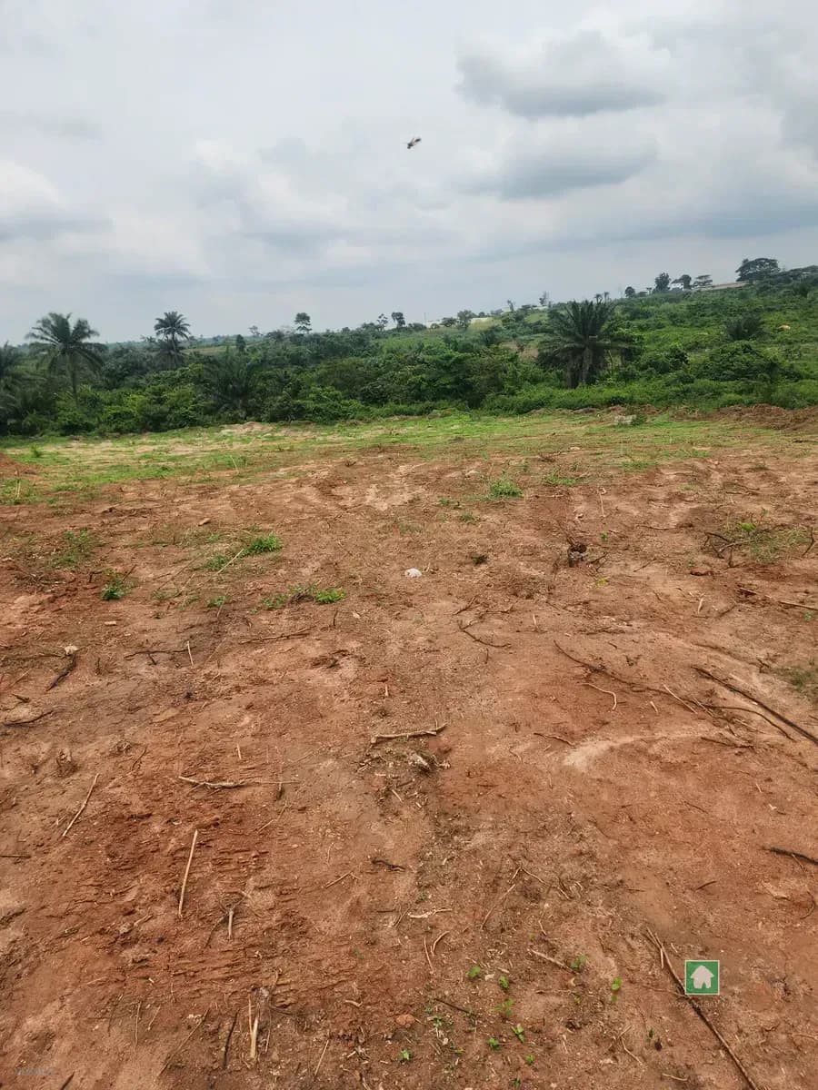 Freehold, Registered Survey and Deed of Assignment