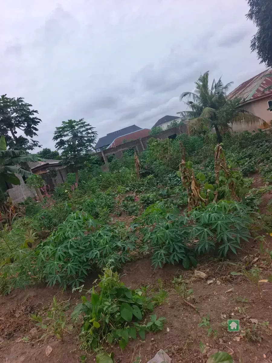 2-Plot Land in Ayobo, Lagos